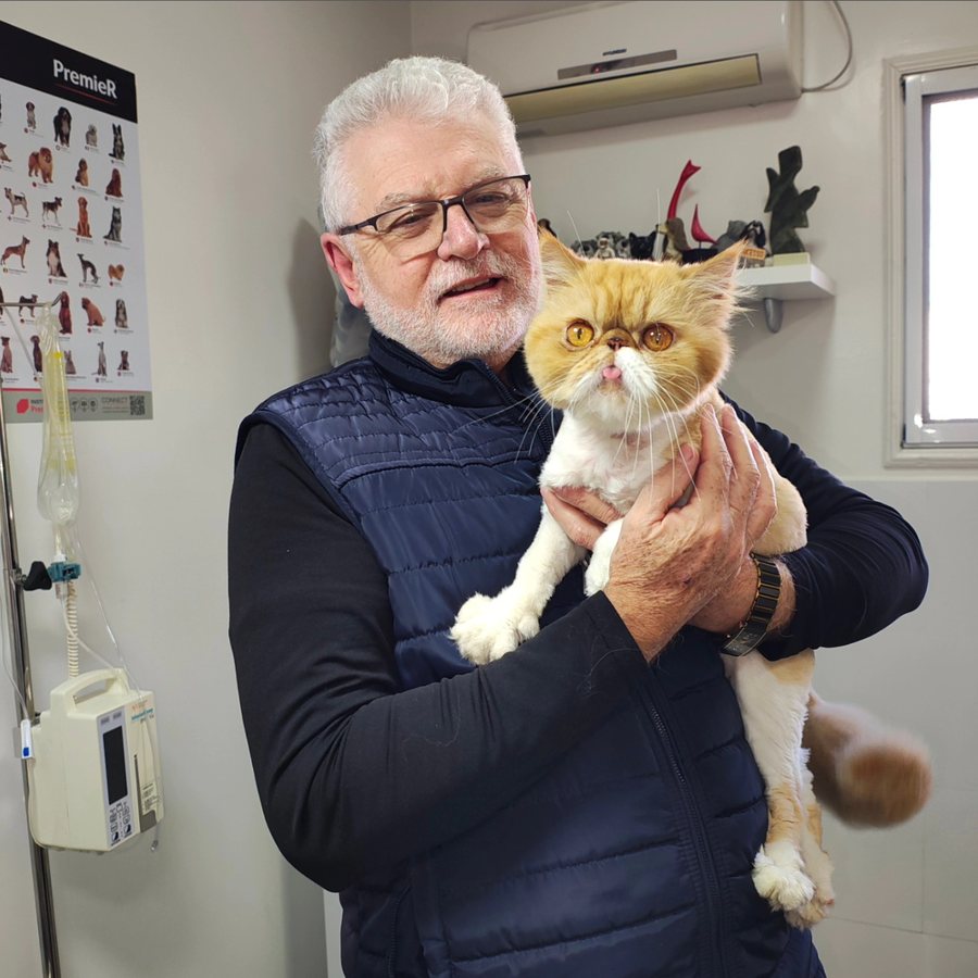 O médico-veterinário Everton Paganella, de óculos e colete, segurando um gato no colo dentro da sala de atendimento da clínica
